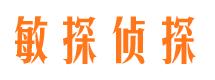 临川市私家侦探